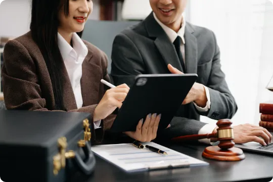 Legal and Accounting activities